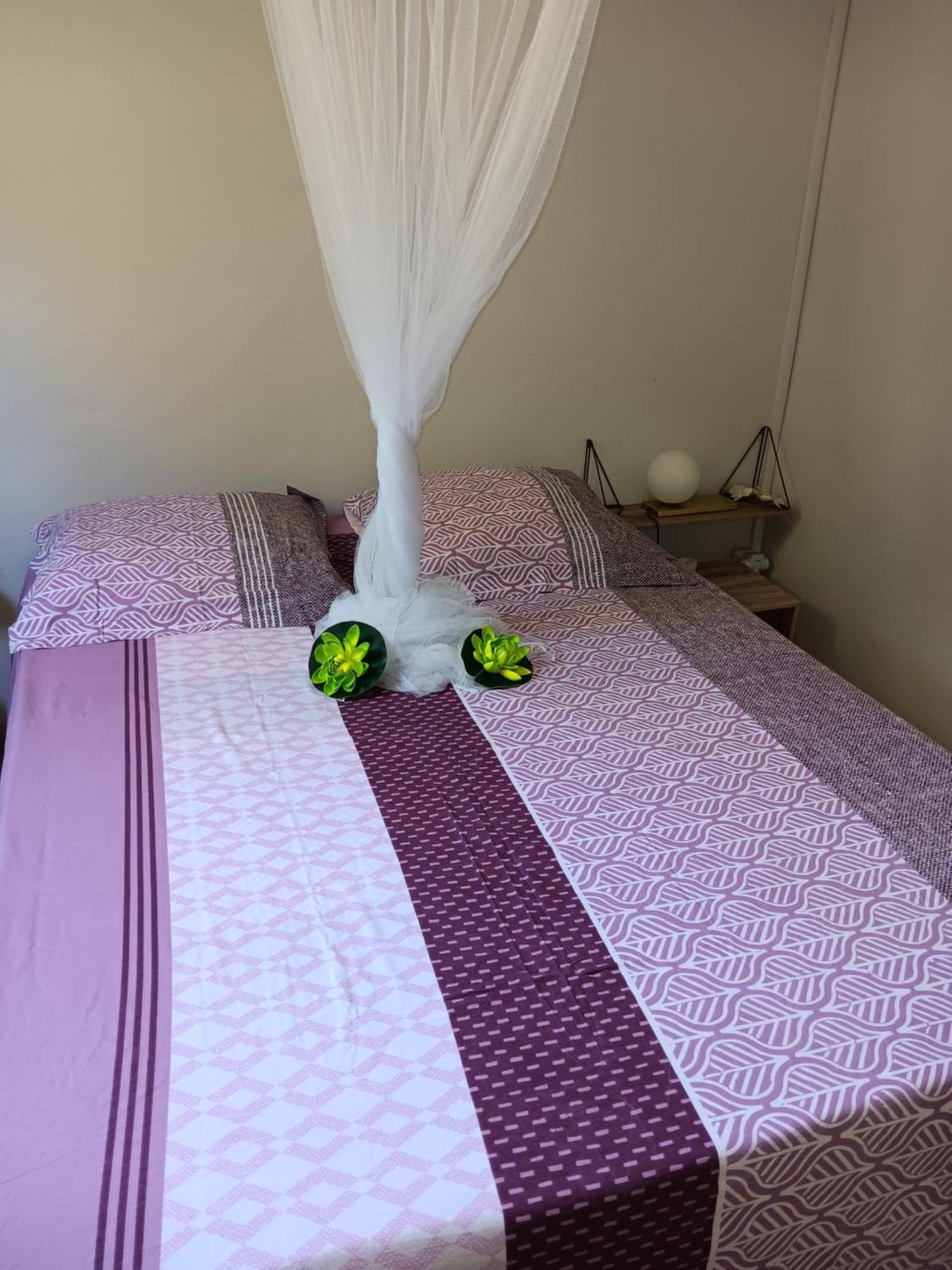 Sous Le Manguier Apartment Сент-Ан Екстериор снимка